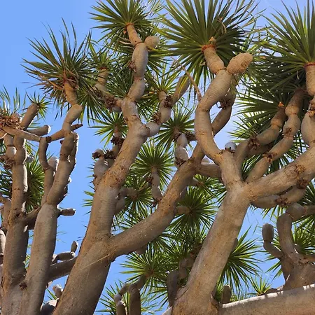 شقة Great Views & Heated Pool - El Perenquen 4 La Matanza De Acentejo